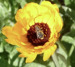 P1050176