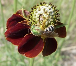 P1050202